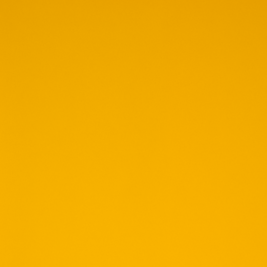 A-Forsthya Yellow 14