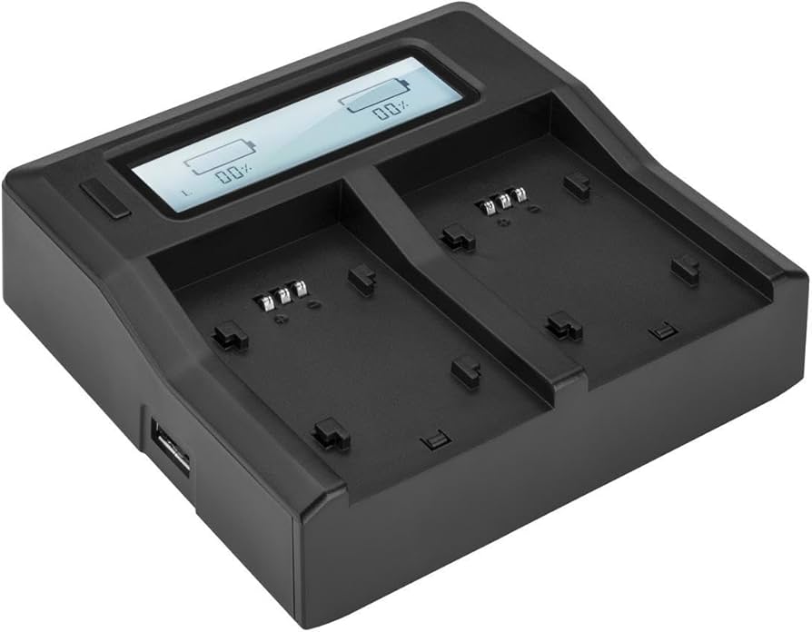 A- Cargador NP-F550