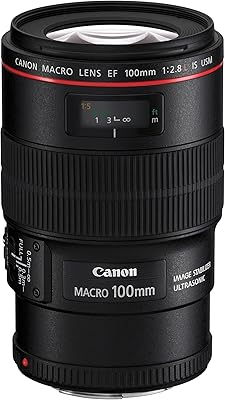 E-Canon EF 100mm f/2.8 Macro USM