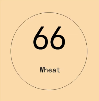 A-Wheat 66 - Marron Trigo