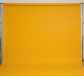 A-Forsthya Yellow 14